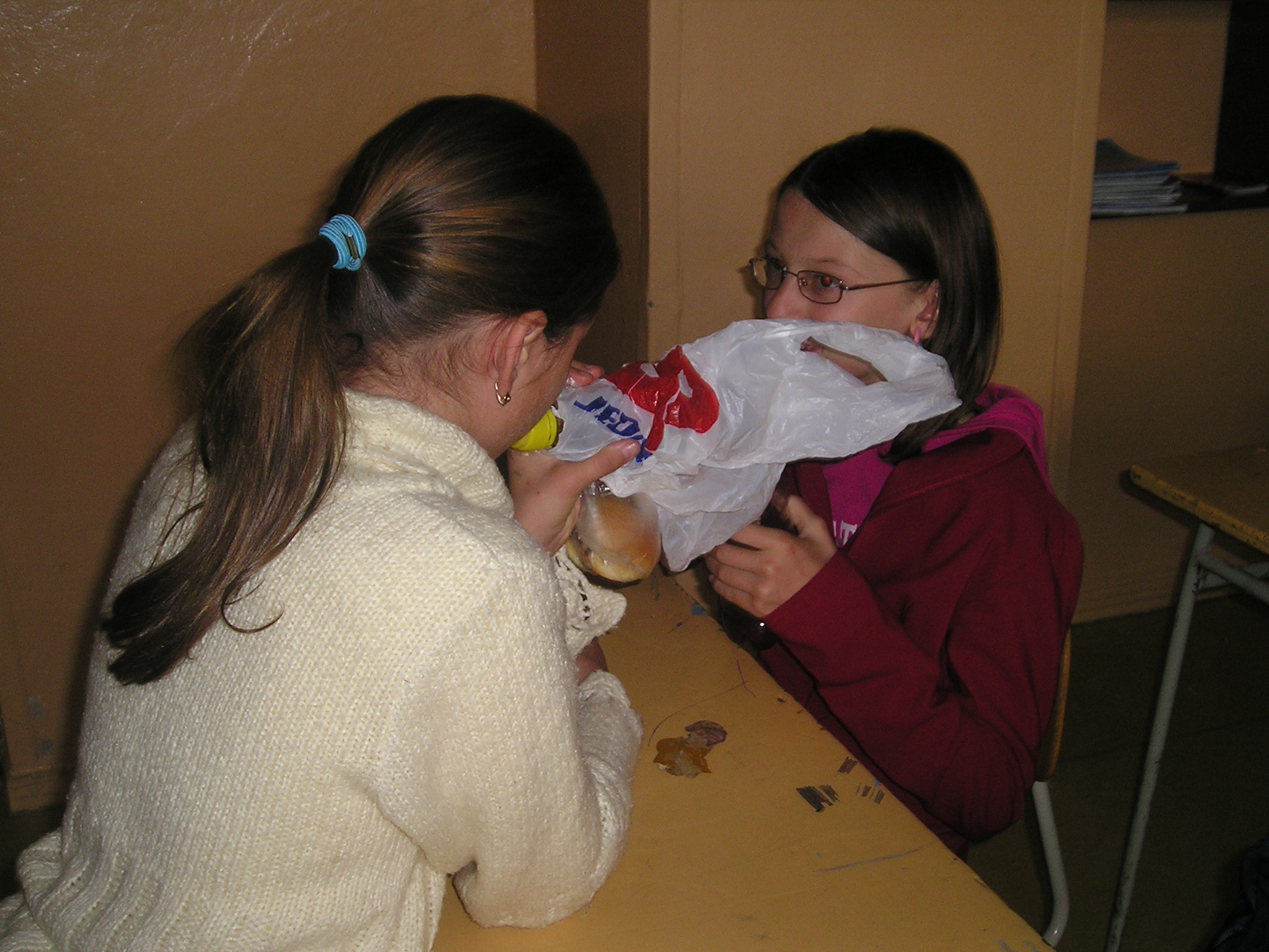 Elena a Majda